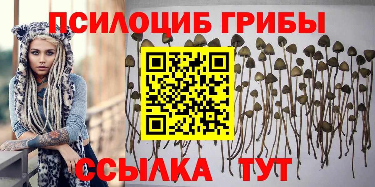 Галлюциногенные грибы Magic Shrooms Сланцы
